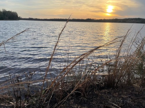 A serene lake at sunset, with tall grasses in the foreground and a colorful sky reflecting on the water.