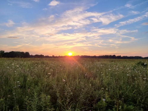 A vibrant sunset over a grassy field, with colorful clouds and a clear sky in the background.