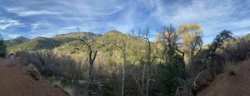 A panoramic view of a lush green landscape with mountains, trees, and a clear blue sky.