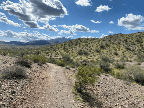A winding dirt path through a desert landscape with hills, shrubs, and a blue sky dotted with clouds.