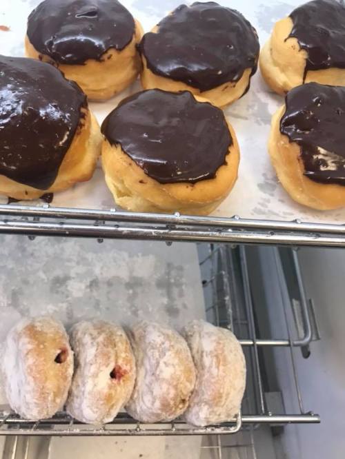 A tray of freshly baked donuts: some topped with chocolate glaze and others dusted with powdered sugar.