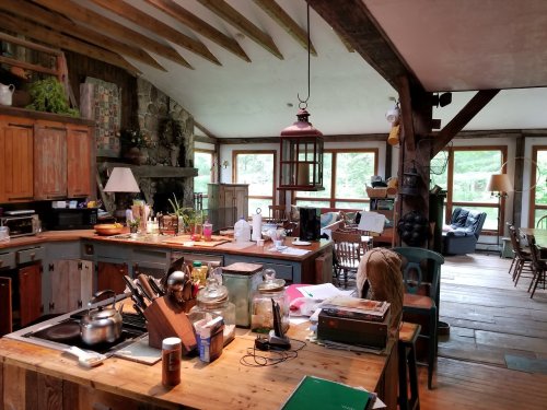 A rustic kitchen with wooden beams, a stone fireplace, and cluttered countertops filled with cooking items and plants.