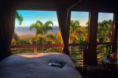 Cozy bedroom with a view of lush palm trees and a sunset over the ocean through large windows.