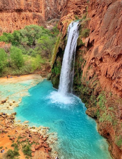 A stunning waterfall cascades into a turquoise pool, surrounded by red rock cliffs and lush greenery.