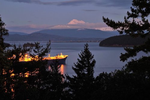 A ship illuminated at night on calm waters, with a snow-capped mountain in the background and trees framing the scene.
