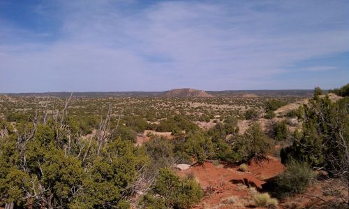 A vast desert landscape with scattered shrubs, rolling hills, and a clear blue sky in the background.