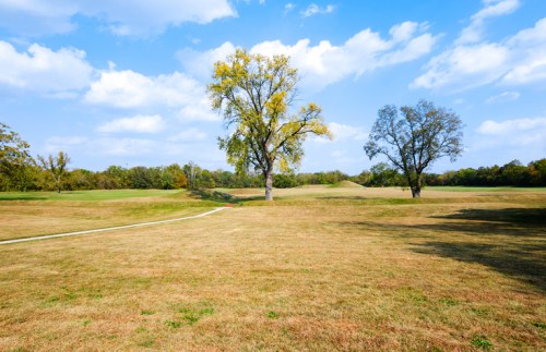 A grassy field with two trees under a blue sky with scattered clouds.
