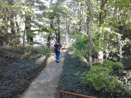 A person walks along a narrow path surrounded by lush greenery and trees.