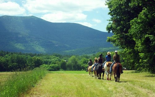 A group of riders on horseback walking along a grassy path with mountains in the background under a blue sky.