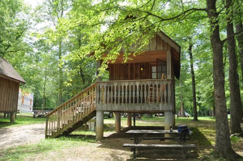 A wooden cabin on stilts surrounded by trees, featuring a porch and steps leading up to the entrance.