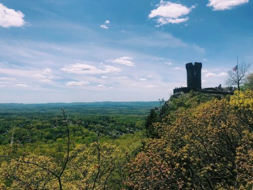 A scenic view of a castle tower on a hill, surrounded by lush green trees and a blue sky with fluffy clouds.