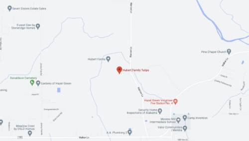 Map showing the location of Hubert Family Tulips near Hazel Green, Alabama, with nearby landmarks and roads.