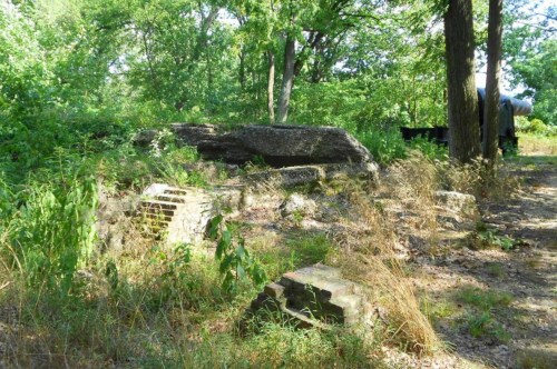 Overgrown stone ruins surrounded by trees and tall grass in a wooded area.