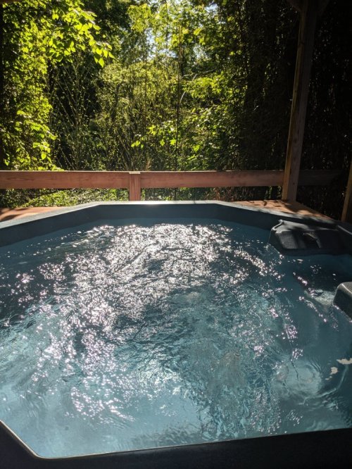 A sparkling hot tub surrounded by lush greenery and sunlight filtering through the trees.