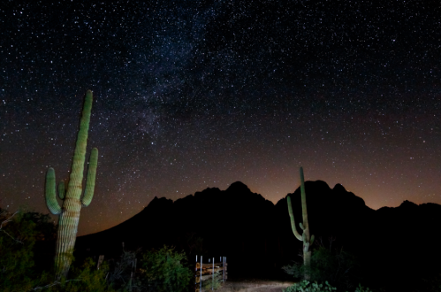A starry night sky over mountains, with silhouetted cacti in the foreground.