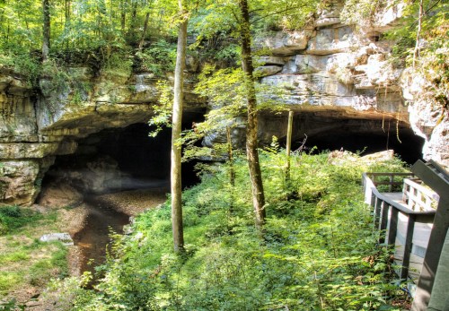 A lush forest surrounds a cave entrance, with a stream and wooden walkway visible in the foreground.