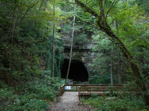 A forested area with a wooden viewing platform in front of a dark cave entrance surrounded by lush greenery.