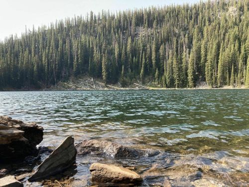 A serene lake surrounded by dense evergreen trees, with clear water reflecting the landscape and rocky shoreline.