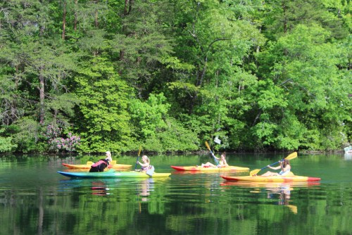 A group of people kayaking on a calm lake surrounded by lush green trees.