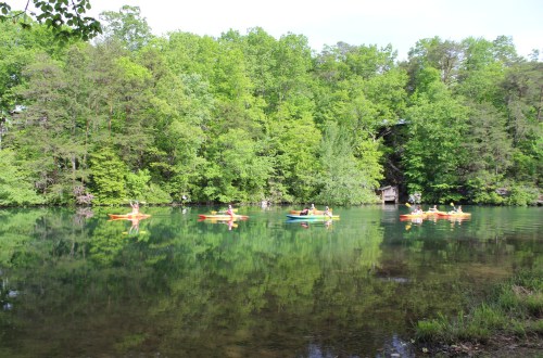 A serene lake surrounded by lush green trees, with people kayaking on the calm water.