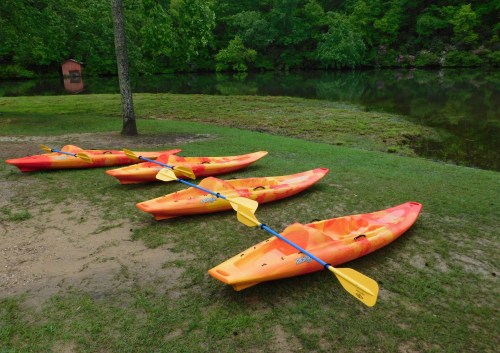 Four orange kayaks with paddles are lined up on the grass by a calm, green-tinted lake surrounded by trees.