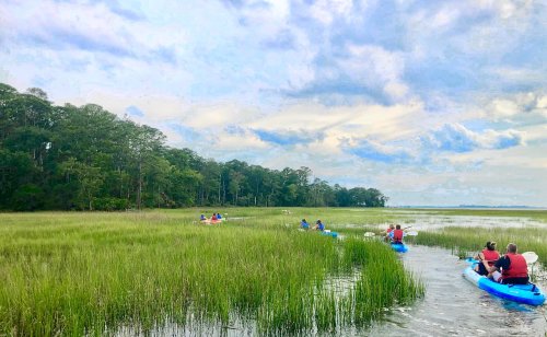 A group of people kayaking through a lush, green marsh under a cloudy sky.