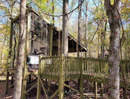 A treehouse nestled among trees, featuring a wooden deck and a sign, surrounded by autumn foliage.