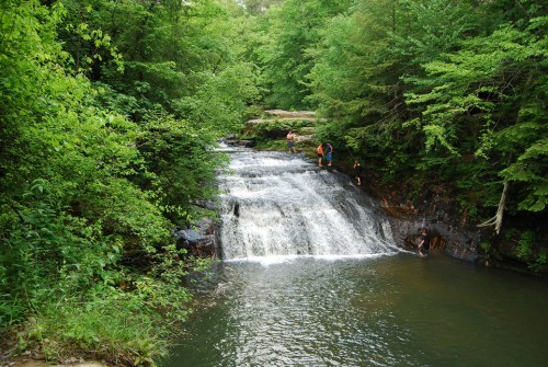 A serene waterfall cascades into a calm pool, surrounded by lush green trees and people enjoying the natural setting.
