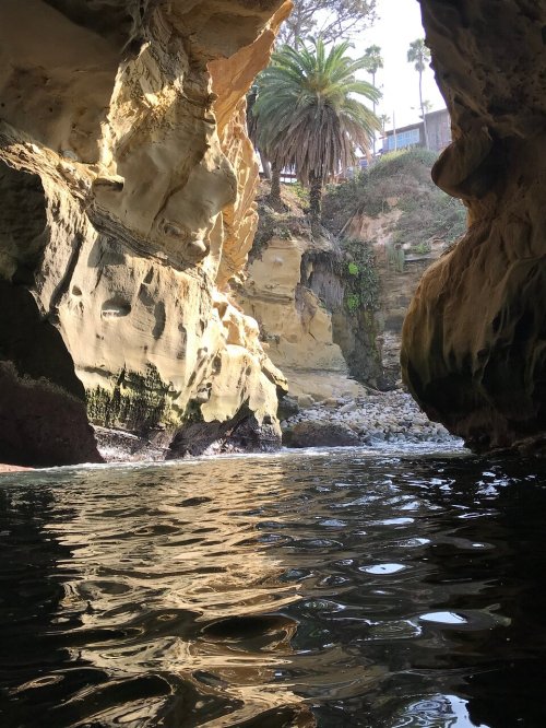 View from inside a cave looking out at palm trees and rocky cliffs, with water reflecting sunlight.