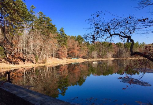 A serene lake surrounded by trees, reflecting autumn colors under a clear blue sky.
