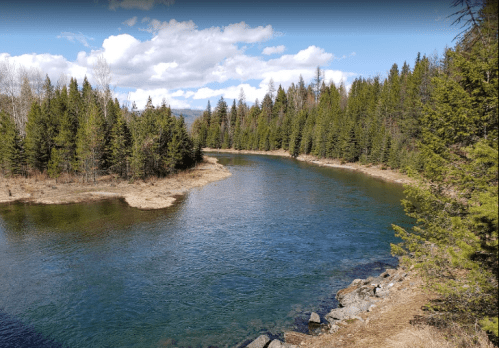 A serene river winding through a forest of tall green trees under a partly cloudy sky.