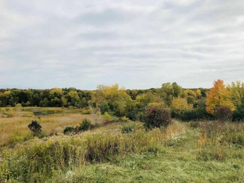 A scenic landscape featuring rolling fields and trees with autumn foliage under a cloudy sky.