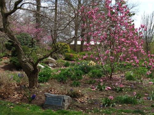 A vibrant garden scene featuring blooming pink flowers, lush greenery, and a stone plaque among the trees.