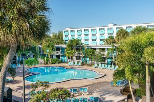 A sunny hotel pool area surrounded by palm trees and lounge chairs, with a blue building in the background.