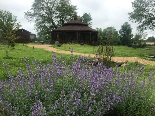 A gazebo surrounded by lush green grass and blooming purple flowers under a cloudy sky.