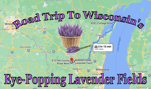 Map highlighting a road trip to Wisconsin's lavender fields, featuring a basket of lavender and travel time.