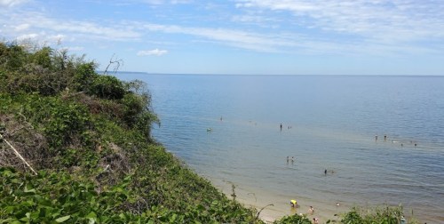 A serene beach scene with people swimming in calm waters, surrounded by lush greenery and a clear blue sky.