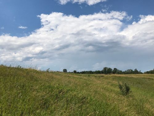 A grassy landscape under a blue sky with scattered clouds, featuring rolling hills and distant trees.