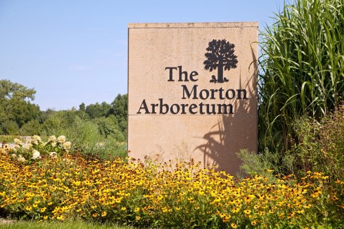 Sign for The Morton Arboretum surrounded by colorful flowers and greenery.