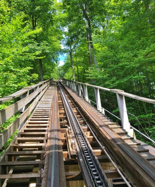 A view of a wooden railway track winding through a lush green forest under a clear blue sky.