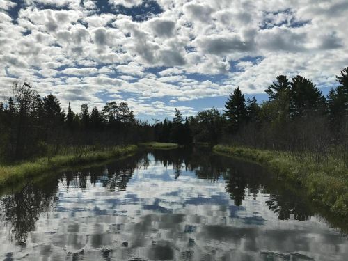 A serene river reflects a cloudy sky and surrounding trees, creating a peaceful natural scene.