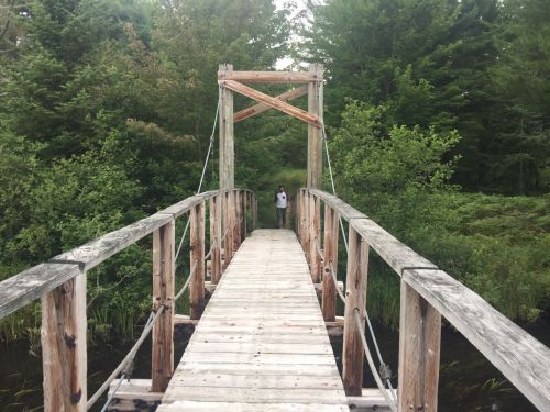 A wooden bridge leads into a lush green forest, with a person standing at the far end.