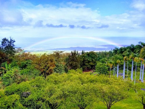 A vibrant rainbow arcs over lush green trees and a scenic landscape under a partly cloudy sky.