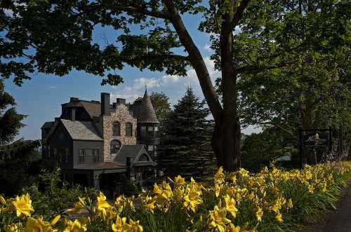 A historic mansion surrounded by lush trees and vibrant yellow flowers under a clear blue sky.