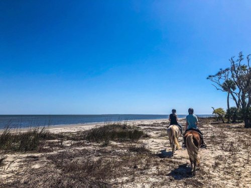 Two riders on horseback walk along a sandy beach under a clear blue sky, with water and trees in the background.