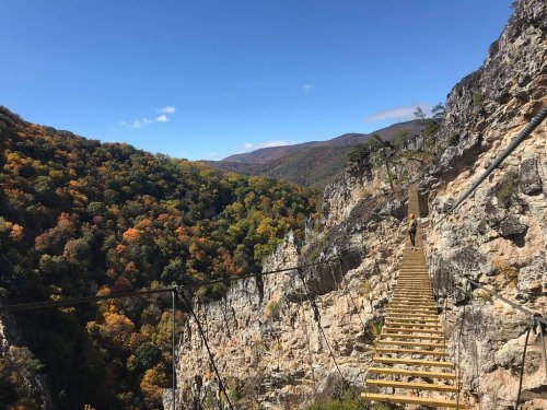 A wooden suspension bridge spans a rocky cliff, surrounded by vibrant autumn foliage and blue skies.