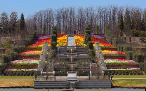 A vibrant garden with colorful flower beds arranged in tiers, leading down to a serene water feature.