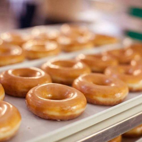A tray of freshly glazed donuts arranged in rows, showcasing their shiny, golden-brown surface.