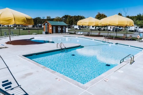 A clear blue swimming pool with yellow umbrellas, surrounded by lounge chairs and a small shed in a grassy area.