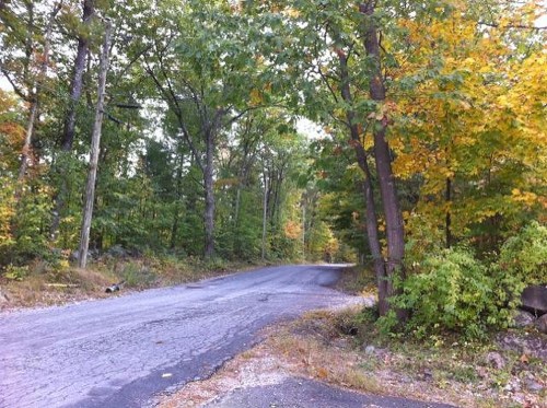 A winding, tree-lined road surrounded by vibrant autumn foliage.